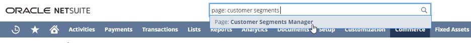 Customer segments manager search bar.