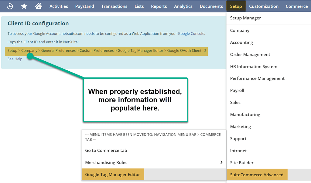 NetSuite setup SuiteCommerce advanced Google tab manager navigation.