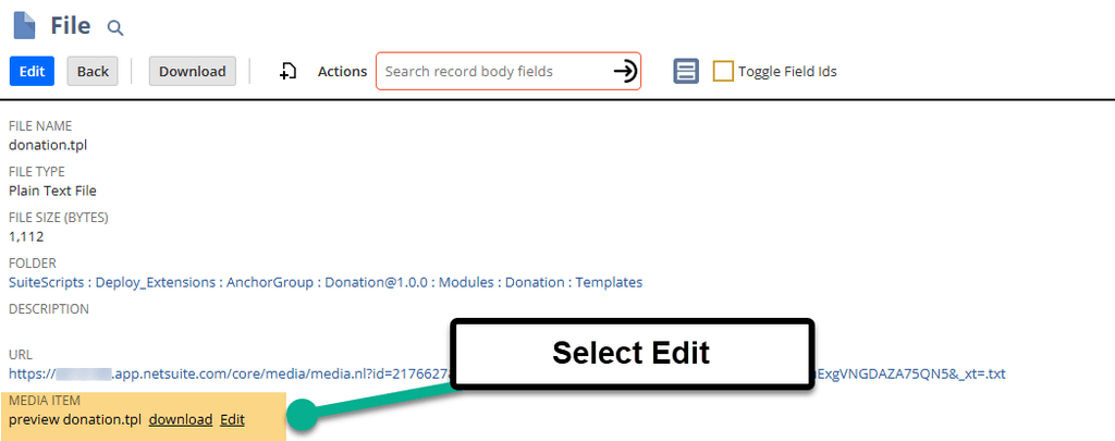 NetSuite file media item select edit.