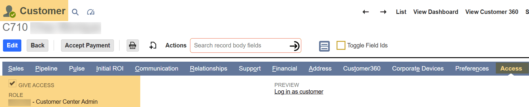 NetSuite customer access give role.