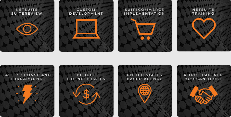 NetSuite services blog 2.