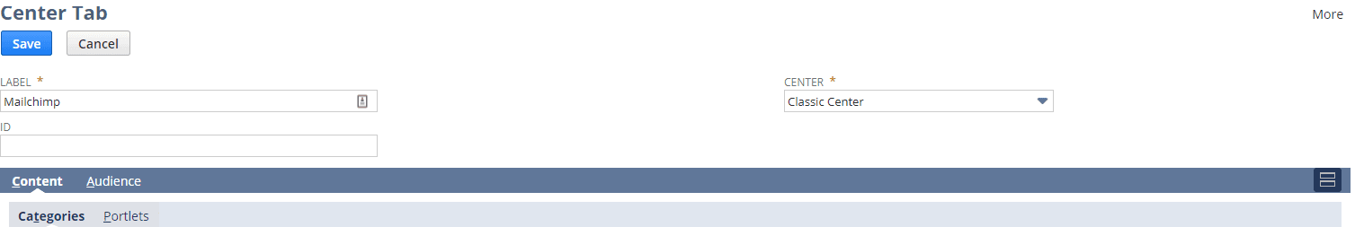 Center tab NetSuite setup MailChimp basics.