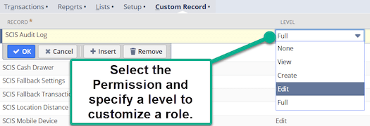 NetSuite custom record level.
