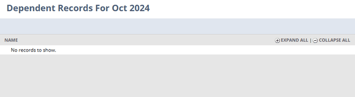 NetSuite dependent records when they are empty.