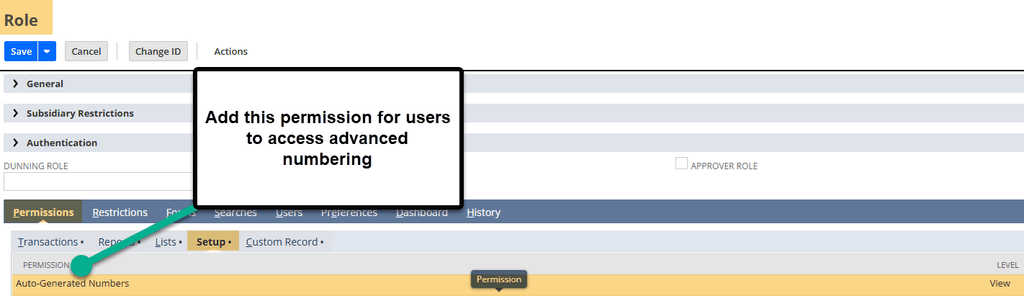 NetSuite role permissions setup autogenerated numbers.