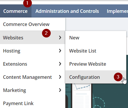 NetSuite commerce websites configuration.