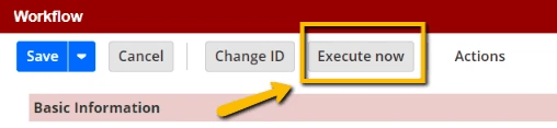 NetSuite workflow basic execute now.