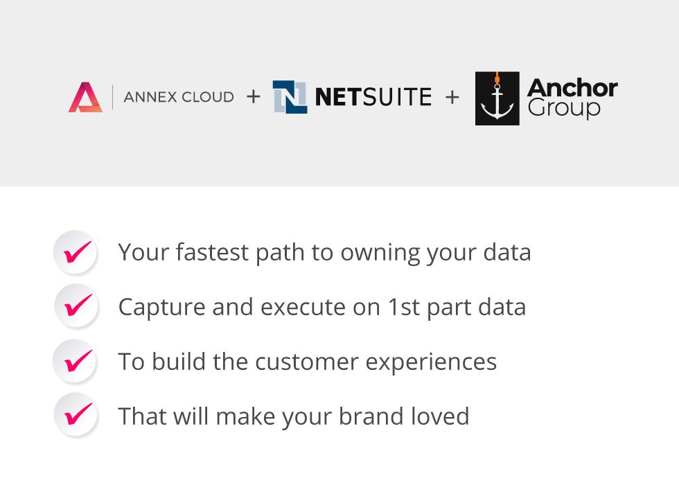 Annex Cloud partnership with NetSuite and Anchor Group.