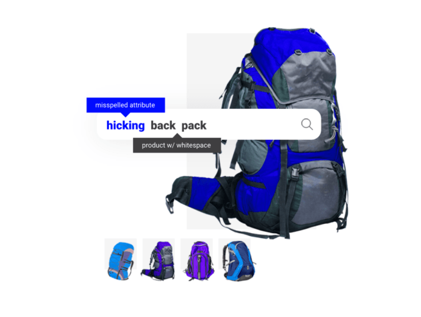Searchspring partner product hicking backpack.