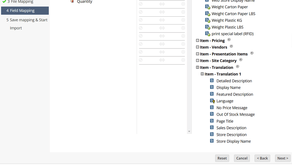 NetSuite CSV field mapping.