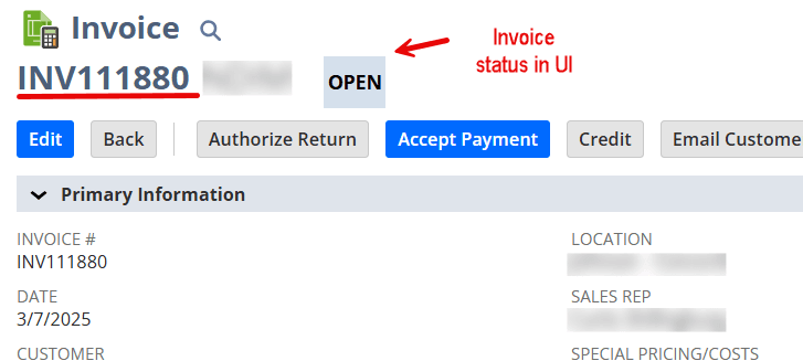 NetSuite invoice status in NetSuite.
