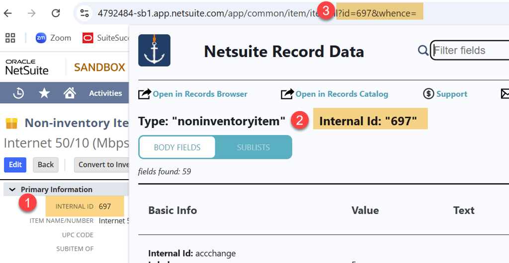 NetSuite Record Data page with three points indicated.