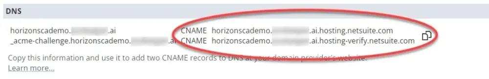 DNS page with the CNAME values highlighted.
