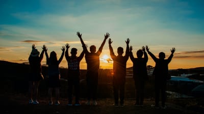 Företag eller organisation