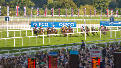 Upplevelser inom Trav och galopp