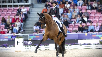 Ridsportevenemang och mästerskap