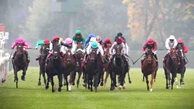 Upplevelser inom Trav och galopp