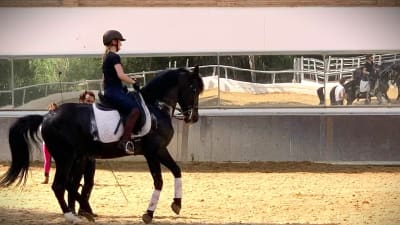 Ridning och njutbara dagar i Andalusien