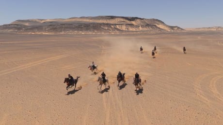 Exceptionella Ridupplevelser i Egypten