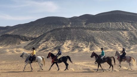Exotisk ridupplevelse i Egypten