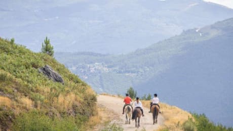 Guldkantade ridresor