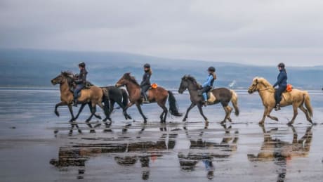 Island - Reykjav�k 