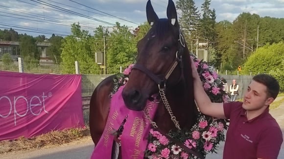 Elitloppet - Stockholm - programme PRESTIGE