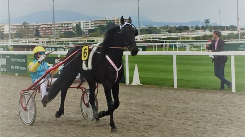 Trav med Criterium de Vitesse