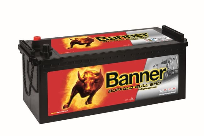 BANNER BUFFALO BULL SHD PRO 64503 145AH 800A (EN)