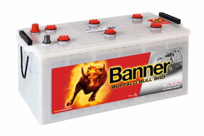 BANNER BUFFALO BULL SHD 72511 225AH 1150A (EN)