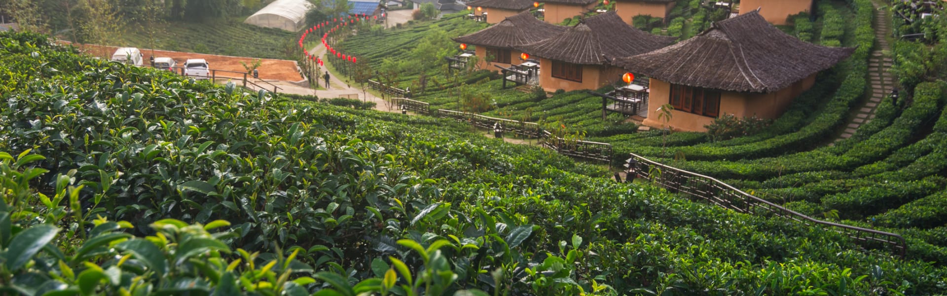 Bangkok Hotel Transfer to Mae Hong Son Hotel Transfer