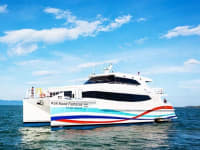 35 Group Pattaya vehicle