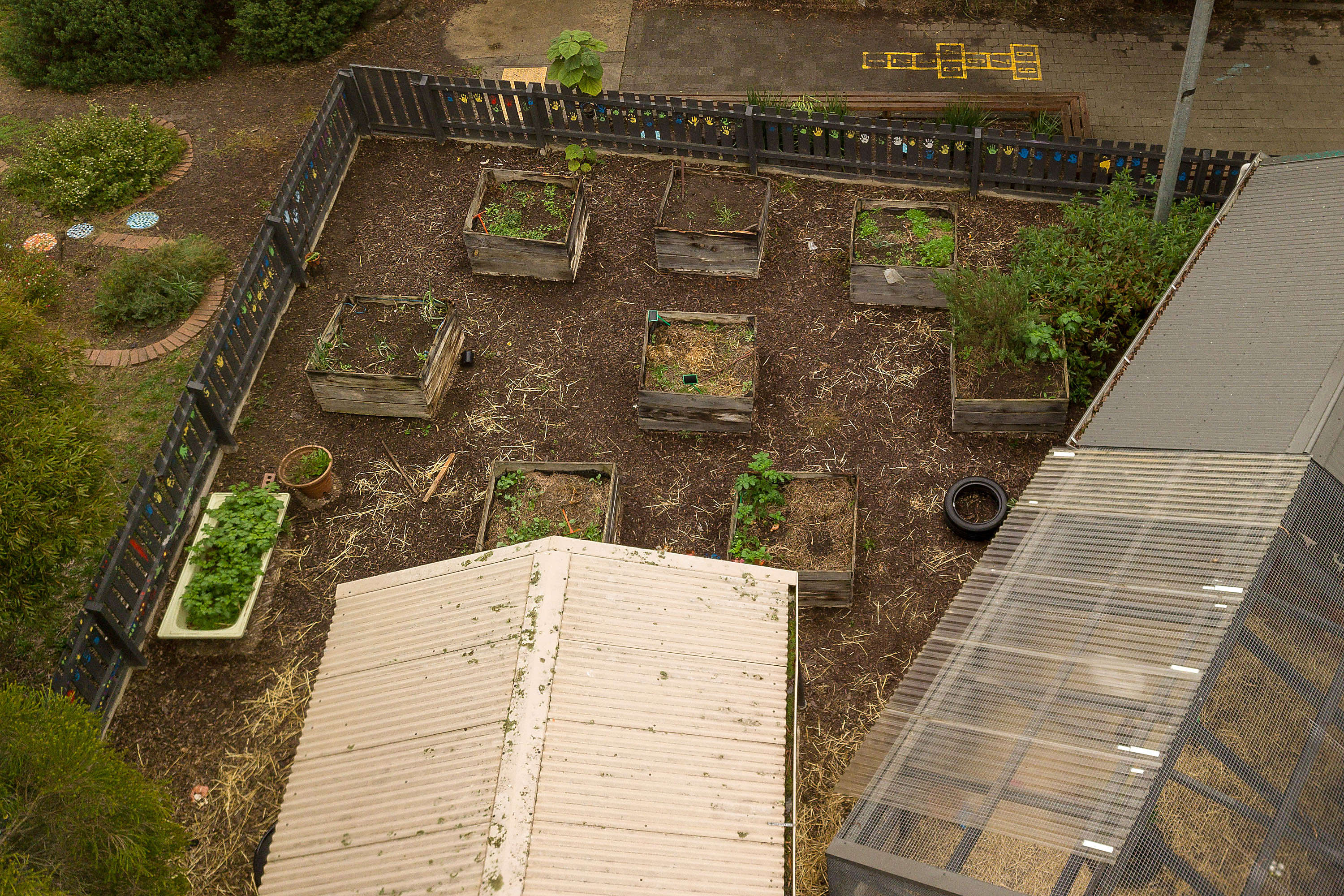 Garden shed, chook house and garden