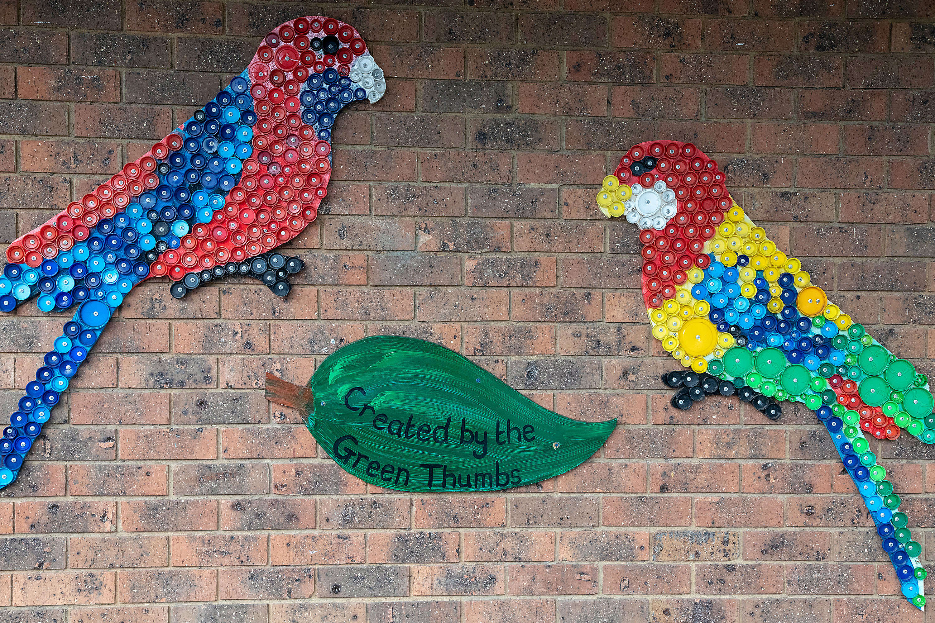 Bird wall mural created by Green Thumbs
