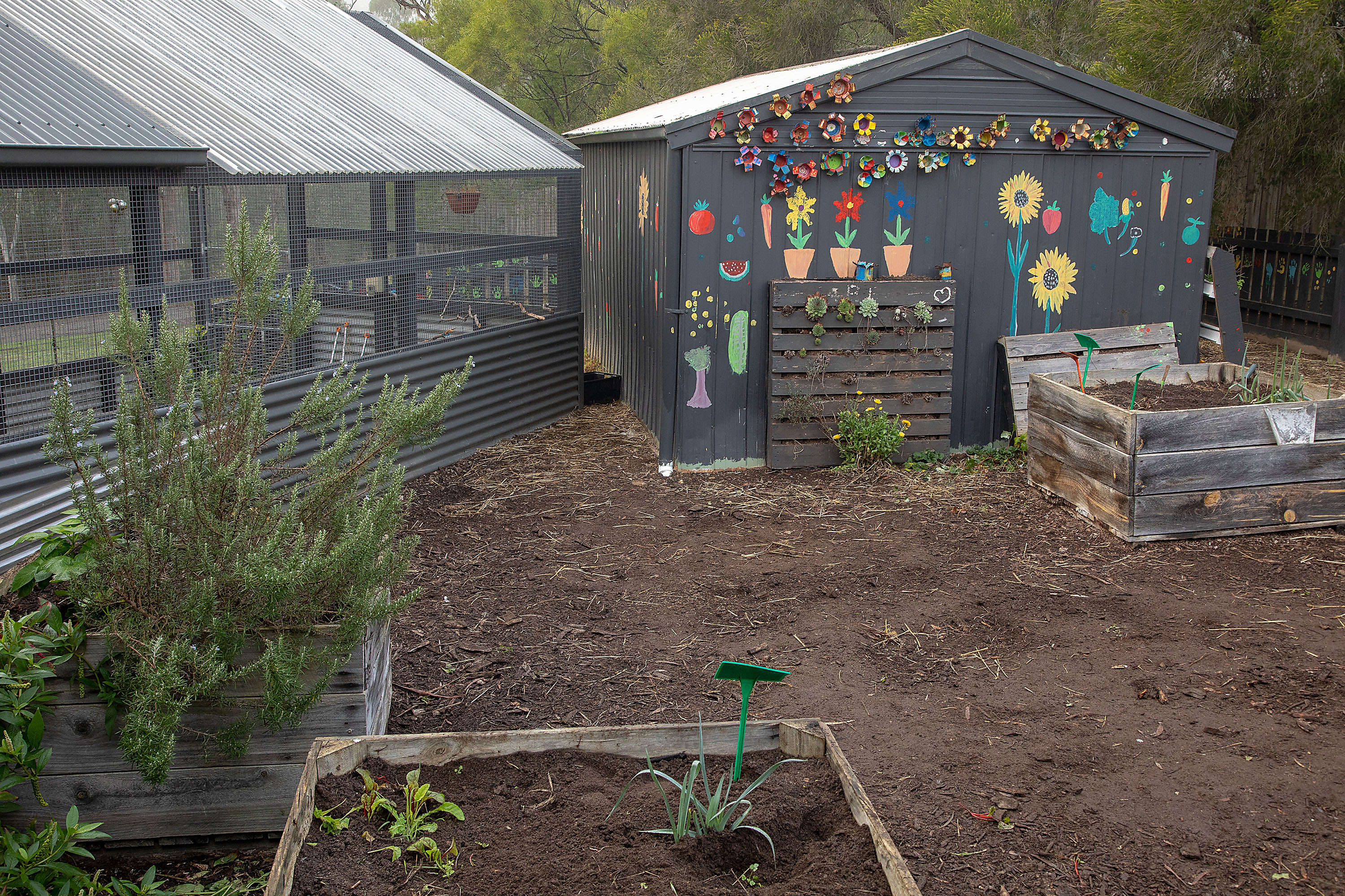 Chook house and garden shed