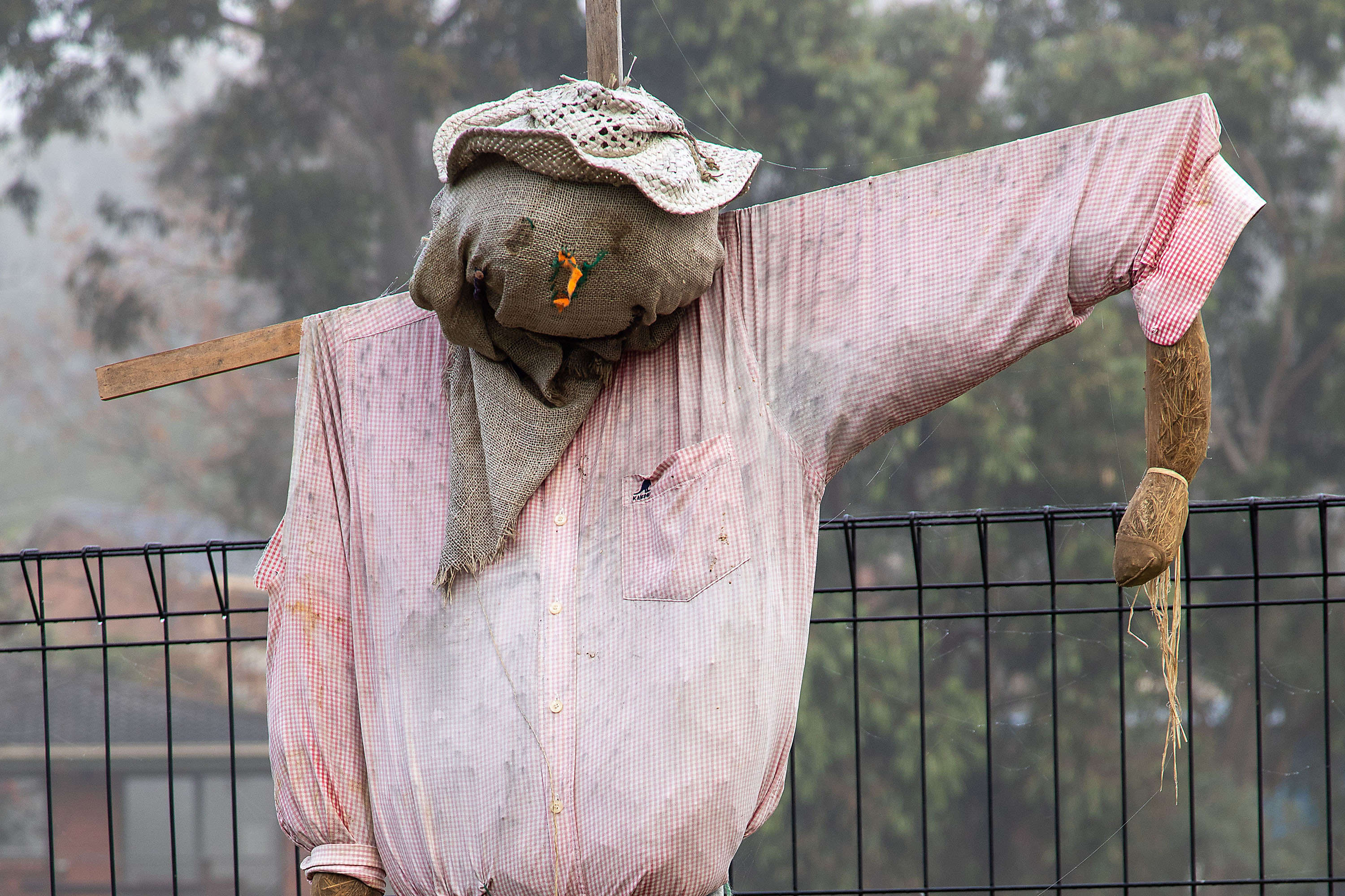 Garden scarecrow