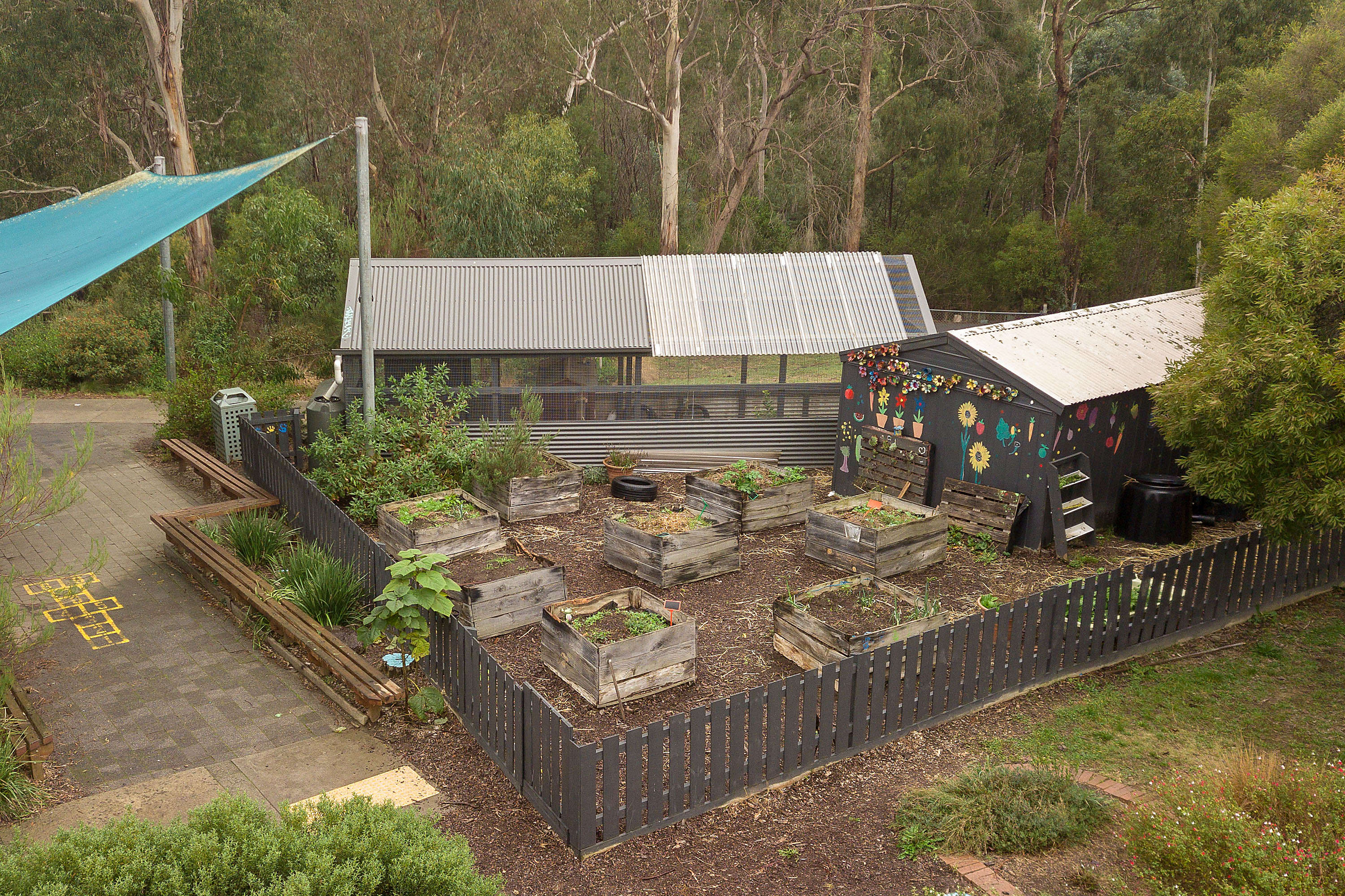 Children's garden and chook house