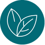 Leaf Icon