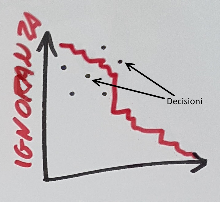 Decisioni e ignoranza