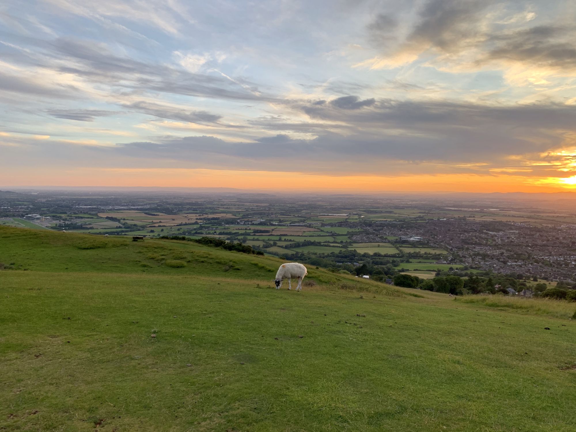 The view over Cleeve Hill: the highest point in Gloucestershire