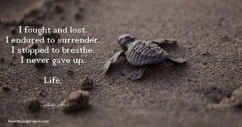 Image 232 facebook.jpg