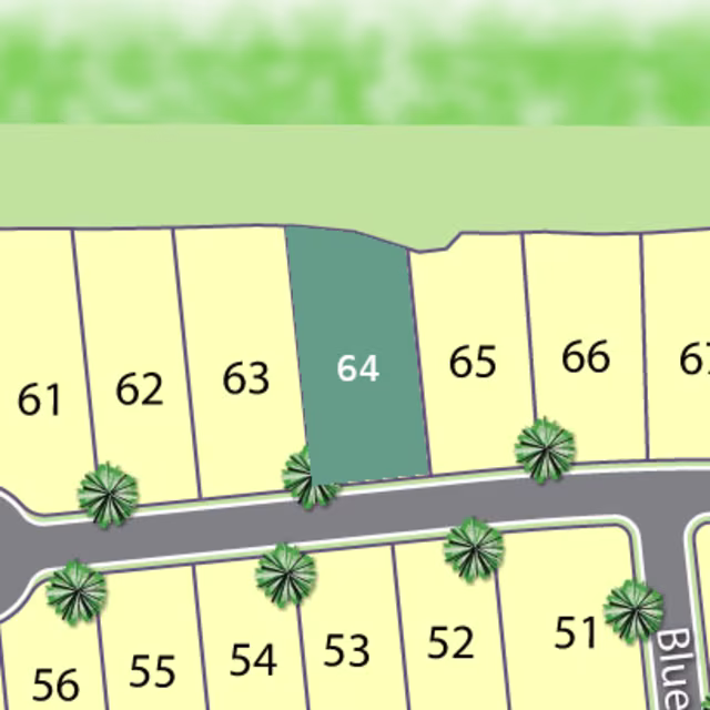 Lot 64 preview