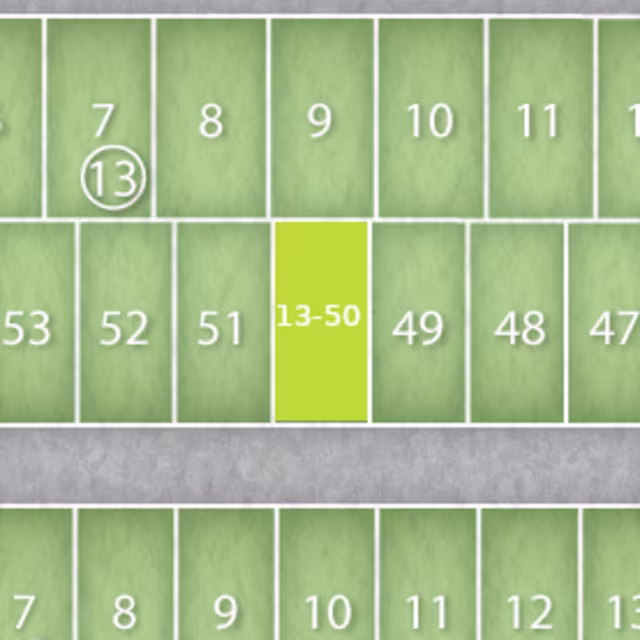 Lot 13-50 preview