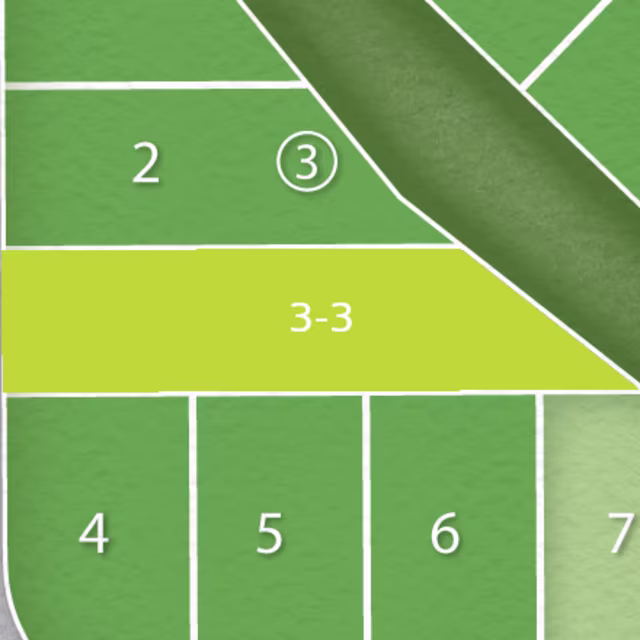 Lot 3-3 preview