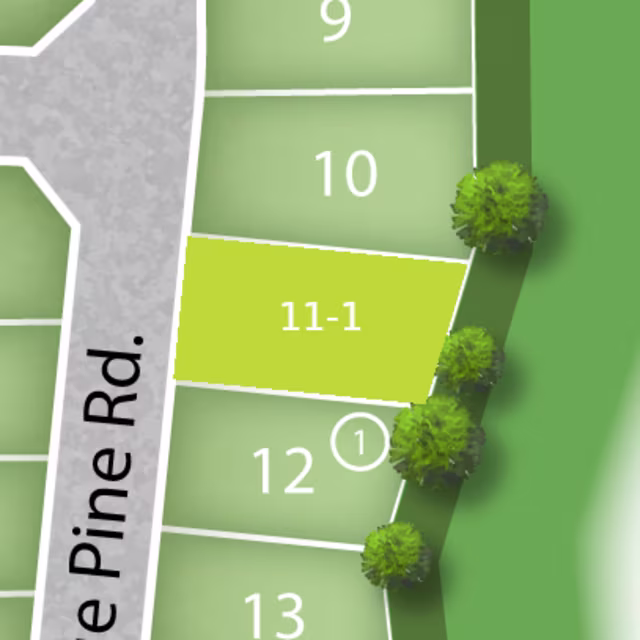 Lot 11-1 preview