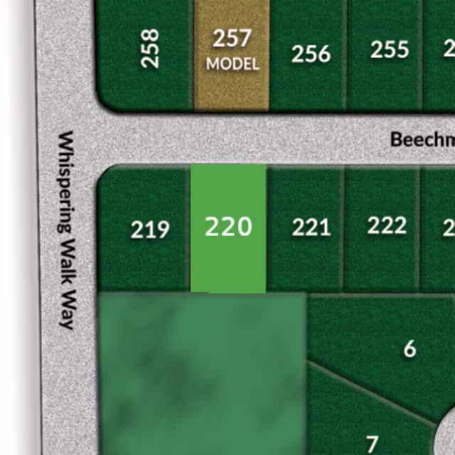 Lot 220 preview