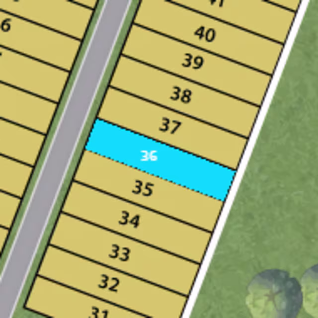 Lot 36 preview