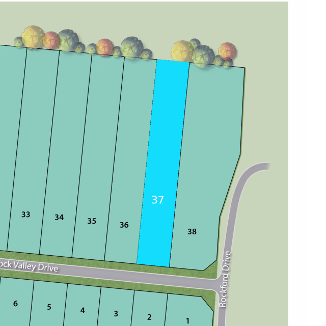 Lot 37 preview