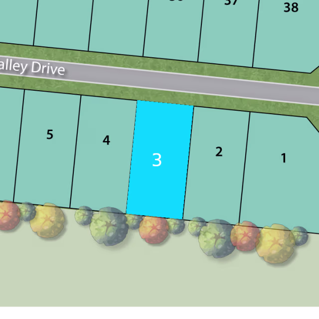 Lot 3 preview
