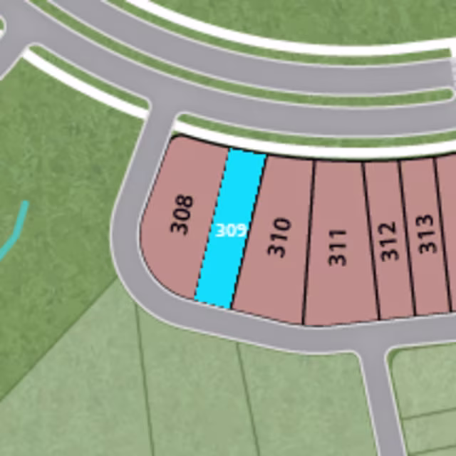 Lot 309 preview